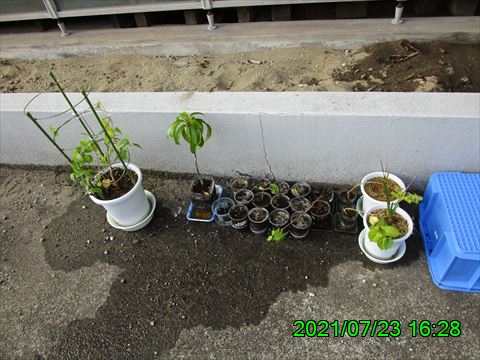 西田利の日記