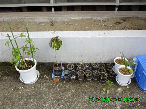 西田利の日記