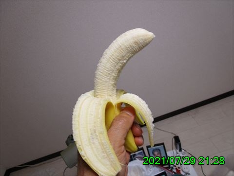 西田利の日記