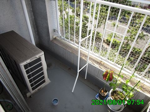 西田利の日記