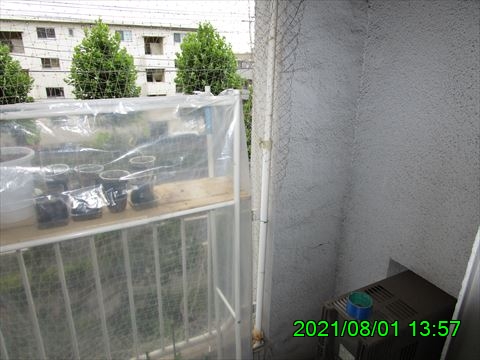 西田利の日記