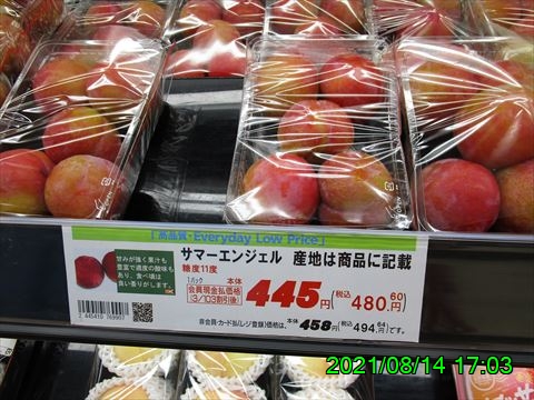 西田利の日記