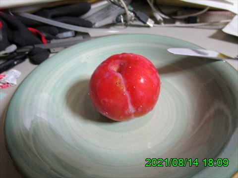 西田利の日記