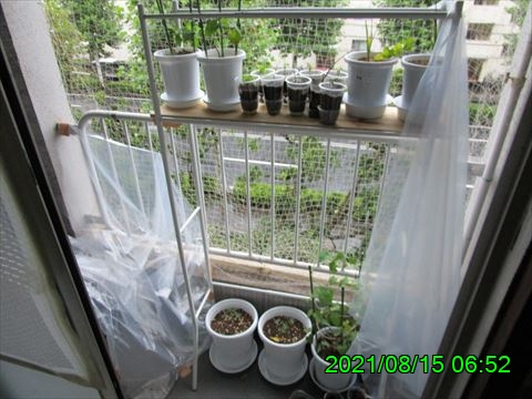 西田利の日記