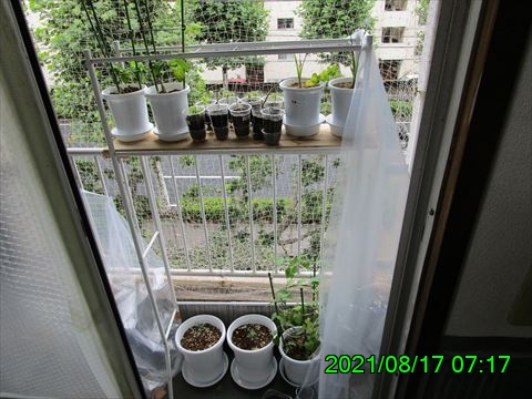 西田利の日記
