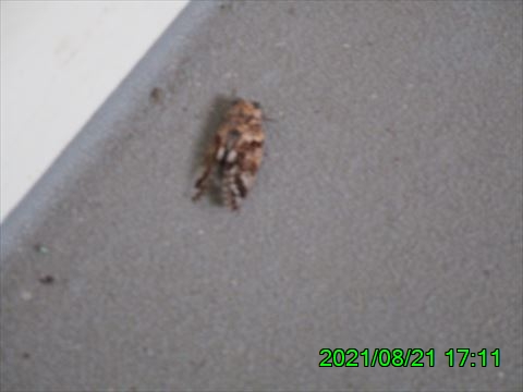西田利の日記