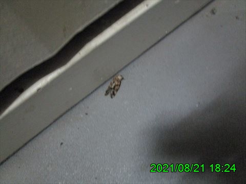 西田利の日記