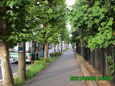 西田利の日記