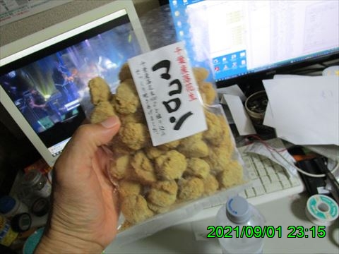 西田利の日記