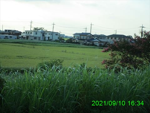 西田利の日記