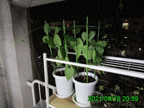 西田利の日記