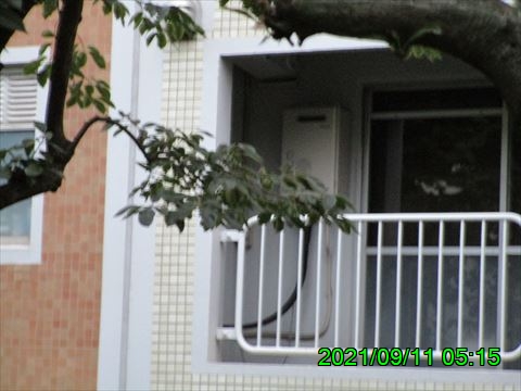 西田利の日記