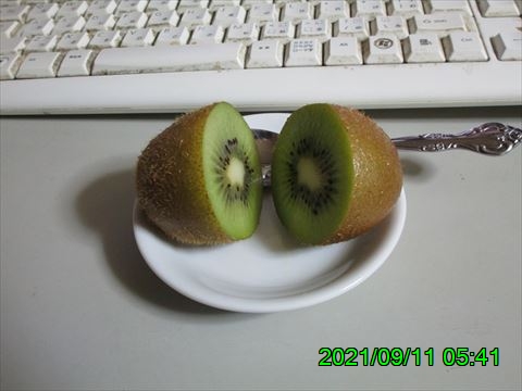 西田利の日記