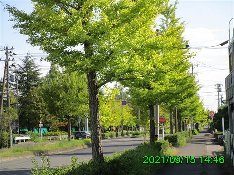 西田利の日記
