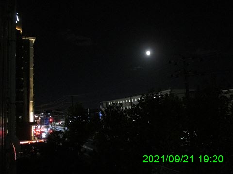 西田利の日記