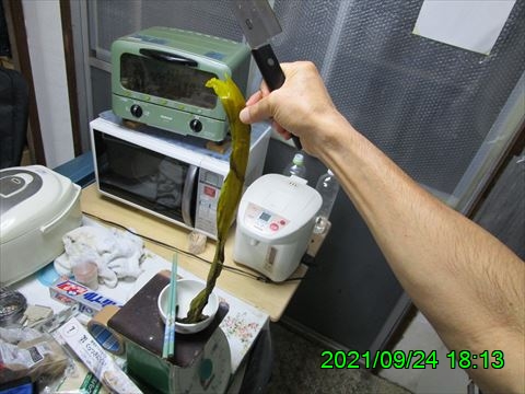 西田利の日記