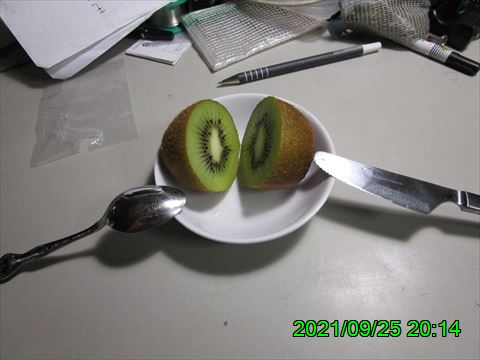 西田利の日記