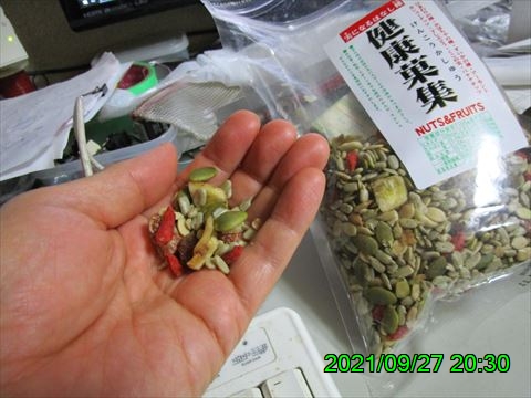 西田利の日記