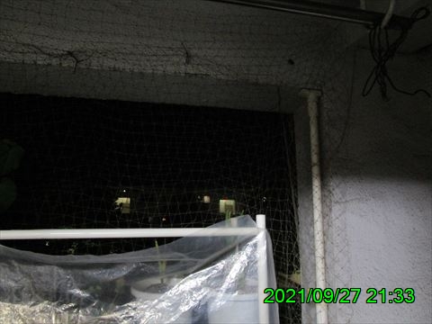 西田利の日記