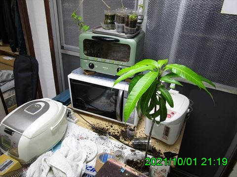 西田利の日記