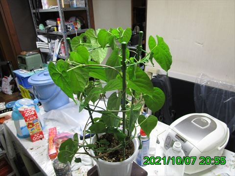 西田利の日記