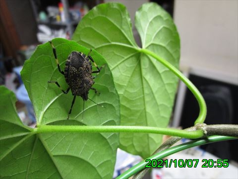 西田利の日記