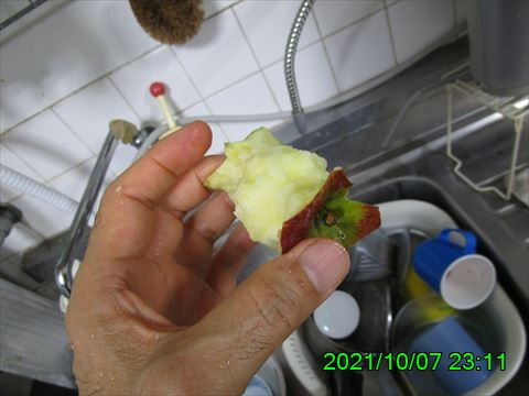 西田利の日記