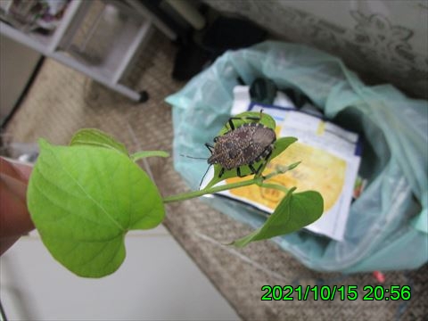 西田利の日記