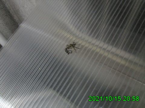 西田利の日記