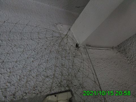 西田利の日記