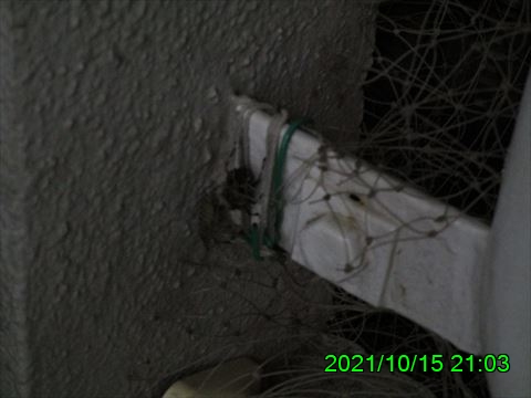 西田利の日記