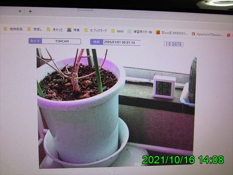 西田利の日記