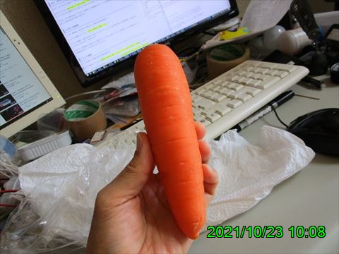 西田利の日記