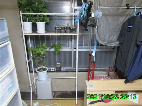 西田利の日記