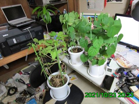 西田利の日記