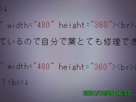西田利の日記