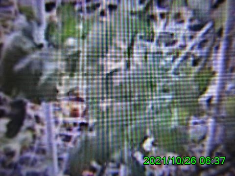西田利の日記