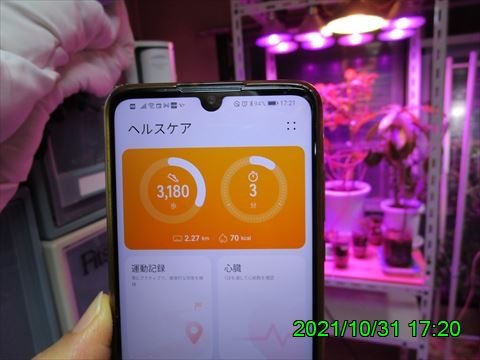 西田利の日記