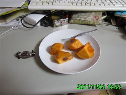 西田利の日記