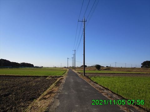西田利の日記