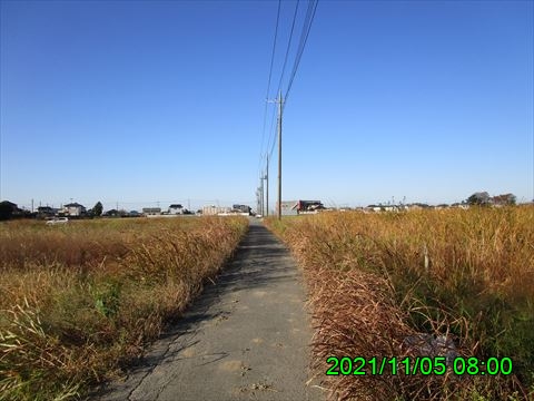 西田利の日記