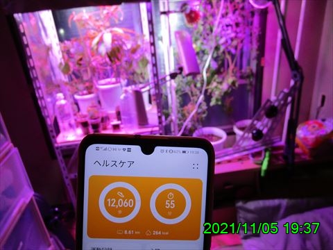 西田利の日記
