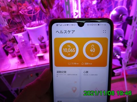 西田利の日記