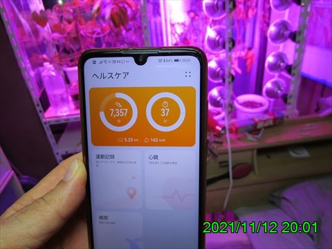 西田利の日記