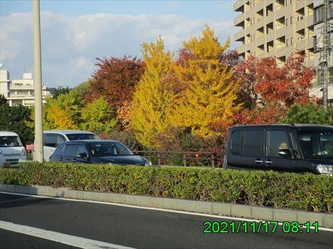 西田利の日記