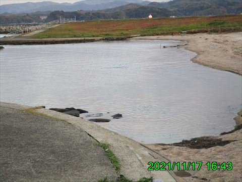 西田利の日記