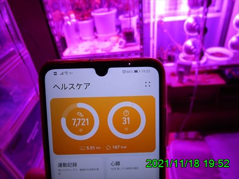 西田利の日記