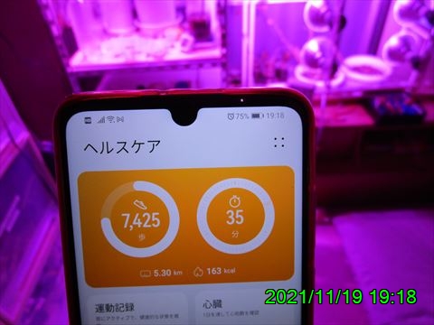 西田利の日記