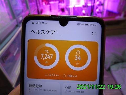 西田利の日記