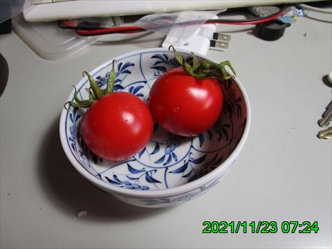 西田利の日記